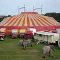 grote-tent-olifanten.JPG