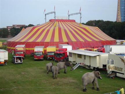 grote-tent-olifanten