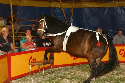 Circus Bavaria 065