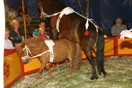 Circus Bavaria 067