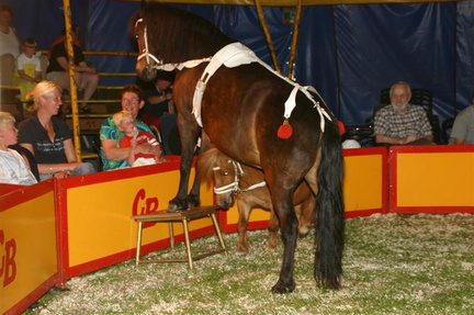 Circus Bavaria 066