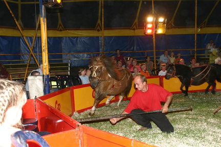 Circus Bavaria 155