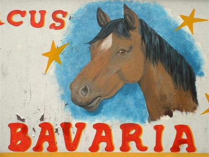 beschildering 4 paard Dokkum 30-06-05
