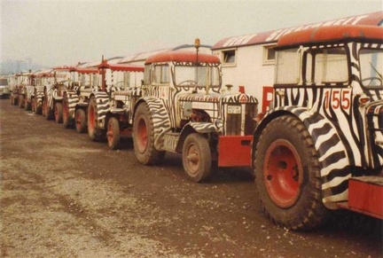 9 Hanomag tractoren op rij oa nr155 en nr141 (NOM-RZ-39)