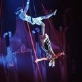 16 37-919 Duo Musa trapeze