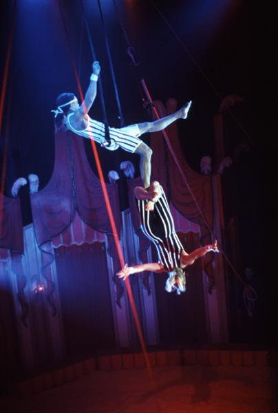 16 37-919 Duo Musa trapeze